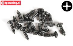 FG6714/09 Linsenkopf-Blech schraube Ø2,9-L9,5 mm, 15 st.