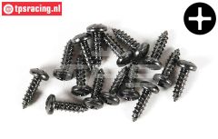 FG6714/13 Linsenkopf-Blech schraube Ø2,9-L13 mm, 15 st.