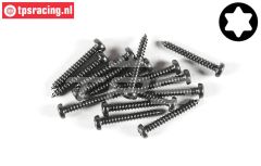 FG6914/19 Torx Linsen-Blechschr. Ø2,9-L19 mm, 15 St.