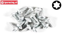 FG6915/09 Torx Linsen-Blechschr. Ø2,9-L9,5 mm, 15 St.