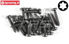 FG6916/22 Torx Linsenkopf-Blechschr. Ø4,2-L22 mm, 15 St.