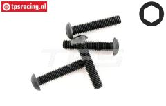 HPIZ216 Linsenschraube M3-L10 mm, 4 St.