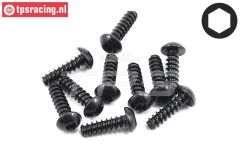 LOS255005 Linsenkopf Schneidschr. Ø3-L10 mm, 10 st.