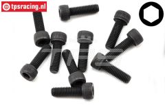 TLR255023 Zylinderkopf schraube M5-L16 mm, 10 st.