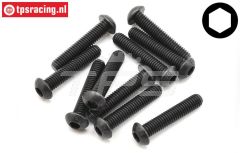 TLR255036 Linsenkopf schraube M6-L30 mm, 10 st.
