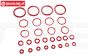 TPS75070/10 Stoßdämpfer Silikon O-Ring HPI-Rovan, Set