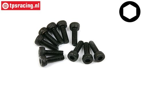 BWS56002 Zylinderkopf schraube M2,5-L8 mm, 10 st.