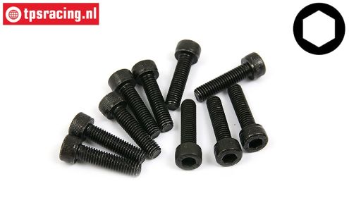 BWS56010 Zylinderkopf schraube M5-L20 mm, 10 st.