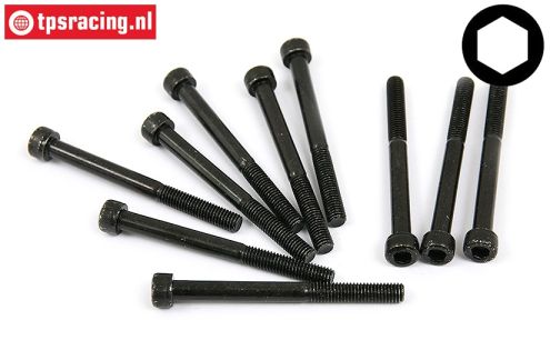 BWS56013 Zylinderk. schraube M5-L55 mm, 10 st.