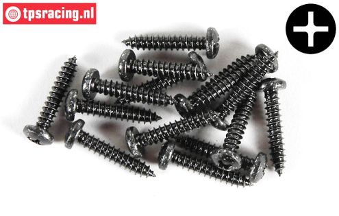 FG6716/25 Linsen-Blech schraube Ø4,2-L25 mm, 15 st.