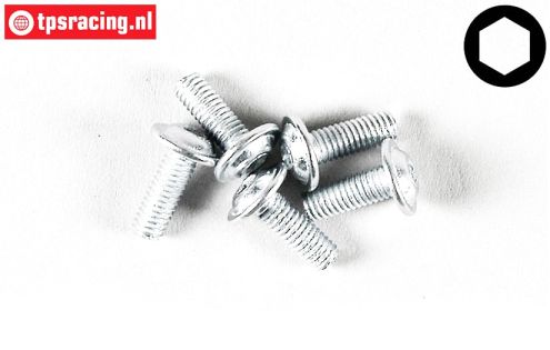 FG6717/08 Linsenkopf schraube M3-L8 mm, 5 St.