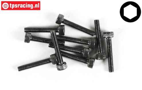 FG6724/20 Zylinderkopf schraube M3-L20 mm, 10 st.