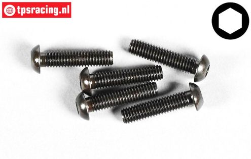 FG6736/25 Linsenkopf schraube M6-L25 mm, 10 st.