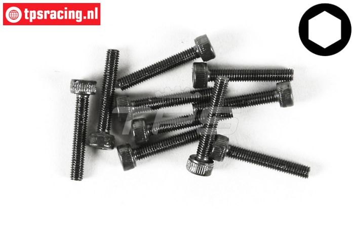 FG6724/25 Zylinderkopf schraube M3-L25 mm, 10 st.