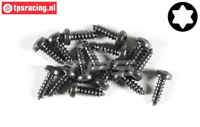 FG6914/09 Torx Linsen-Blechschr. Ø2,9-L9 mm, 15 St.