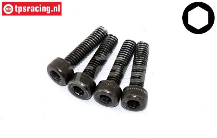 FG9440/13 Magura Hauptbr.-zylinder schr. M2,5-L10 mm, 4 st.