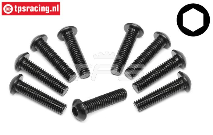 TPS94909 Linsenkopf schraube M6-L25 mm, 10 St.