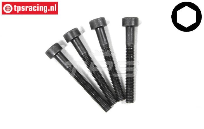 M3000/29 Mecatech schraube M3-L25 mm, 4 st