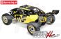 LOS05008T2 LOSI DBXL 2.0 Buggy RTR MAGNAFLOW