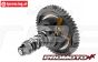 LOS-2310T1 Promoto-SM Supermoto weiß ARTR