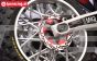 MX010/DISK/GD PROMOTO Alu-Bremssch. Gold, 1 St.