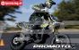 LOS-2272 Promoto-SM Supermoto Basic weiß ARTR