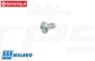 ZN0074 Walbro Ventilnadel schraube, 1 st
