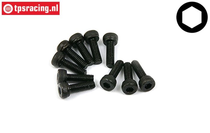 BWS56003 Zylinderkopf schraube M3-L10 mm, 10 st.