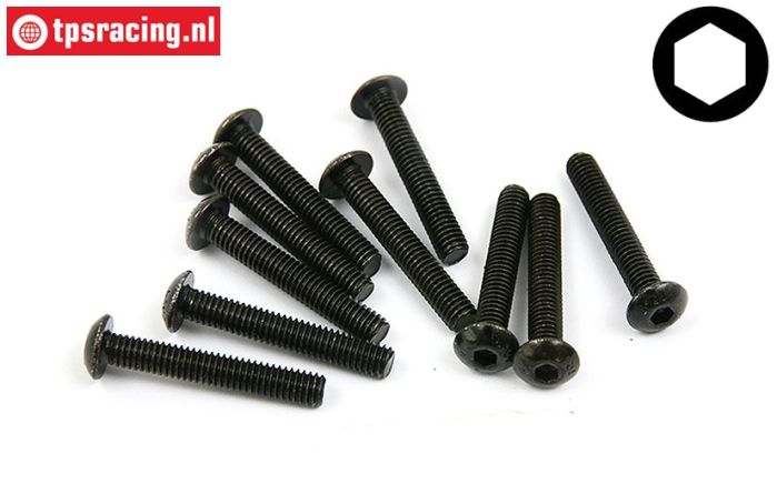 BWS56021 Linsenkopf schraube M4-L25 mm, 10 st.
