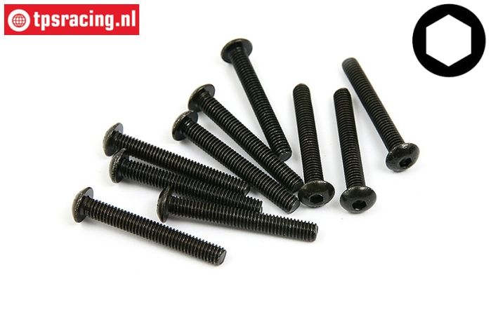 BWS56022 Linsenkopf schraube M4-L30 mm, 10 st.