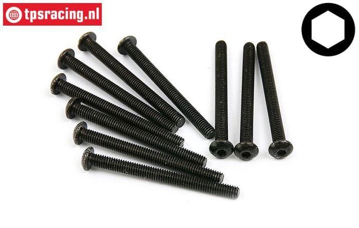 BWS56024 Linsenkopf schraube M4-L40 mm, 10 st