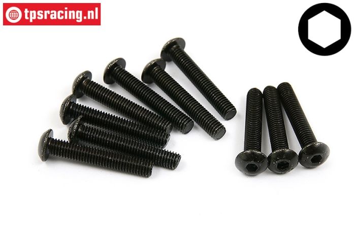 BWS56029 Linsenkopf schraube M5-L30 mm, 10 st.