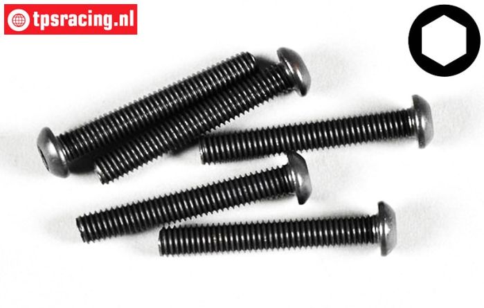 FG6736/40 Linsenkopf schraube M6-L40 mm, 10 st.