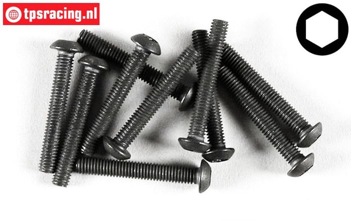 FG6737/20 Linsenkopf schraube M3-L20 mm, 10 st.