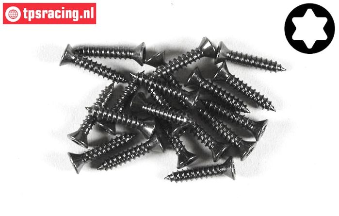 FG6910/16 Torx Senkkopf-Blechschr. Ø2,9-L16 mm, 20 St.