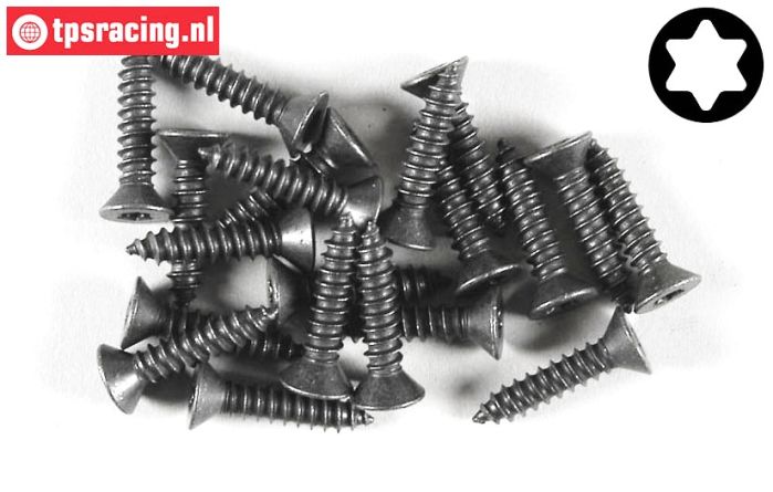 FG6912/19 Torx Senkkopf-Blechschr. Ø4,2-L19 mm, 20 St.
