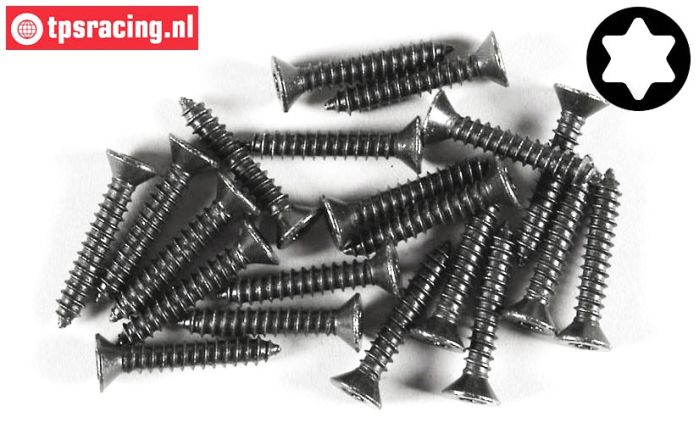 FG6912/25 Torx Senkkopf-Blechschr. Ø4,2-L25 mm, 20 St.