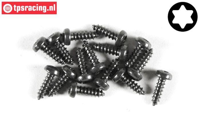 FG6914/09 Torx Linsen-Blechschr. Ø2,9-L9 mm, 15 St.