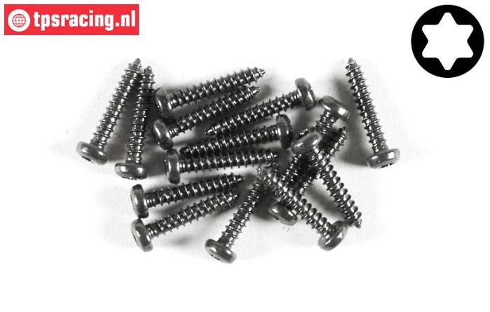 FG6914/13 Torx Linsen-Blechschr. Ø2,9-L13 mm, 15 St.