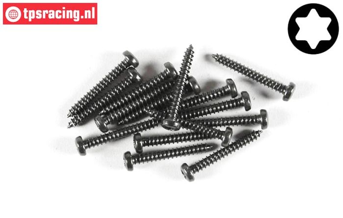 FG6914/19 Torx Linsen-Blechschr. Ø2,9-L19 mm, 15 St.