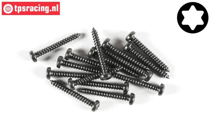 FG6914/22 Torx Linsen-Blechschr. Ø2,9-L22 mm, 15 St.