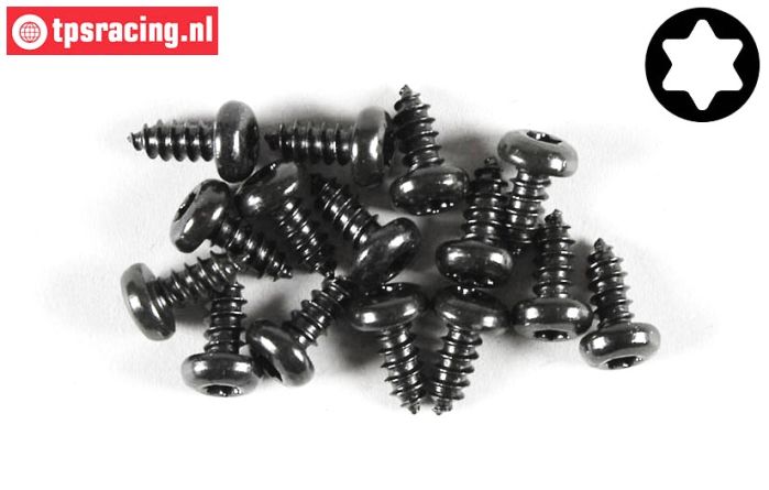 FG6916/09 Torx Linsenkopf-Blechschr. Ø4,2-L9 mm, 15 St.
