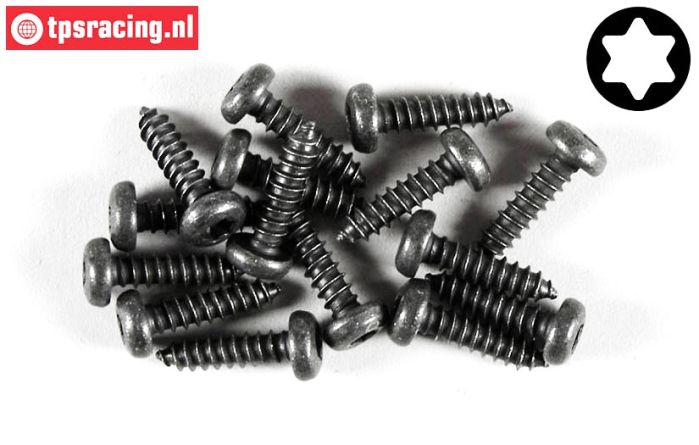 FG6916/13 Torx Linsenkopf-Blechschr. Ø4,2-L13 mm, 15 St.