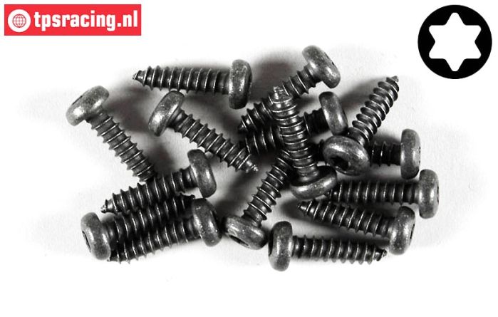 FG6916/16 Torx Linsenkopf-Blechschr. Ø4,2-L16 mm, 15 St.