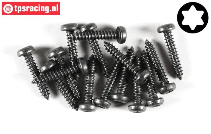 FG6916/22 Torx Linsenkopf-Blechschr. Ø4,2-L22 mm, 15 St.