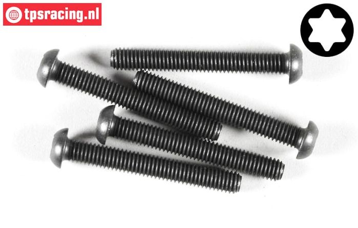 FG6927/45 Torx Linsenkopf schraube M6-L45 mm, 5 St.