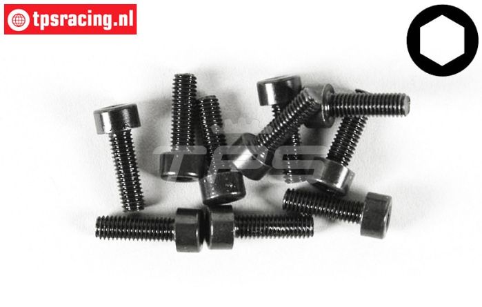 FG6724/13 Zylinderkopf schraube M3-L13 mm, 10 st.