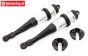 BWS59093/02Z Stoßdämpfer hinten Schwarz BWS-LOSI, Set