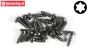 FG6914/09 Torx Linsen-Blechschr. Ø2,9-L9 mm, 15 St.