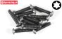 FG6926/25 Torx Linsenkopf schraube M5-L25 mm, 10 St.